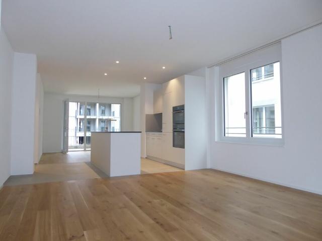 5 1/2 Zimmer Wohnung Neubauprojekt Rheincity