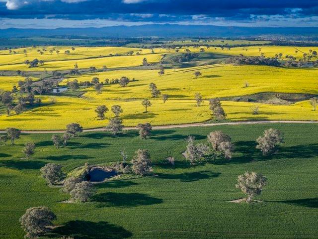 5,336 Acres of Premium Central Tablelands Cropping Land