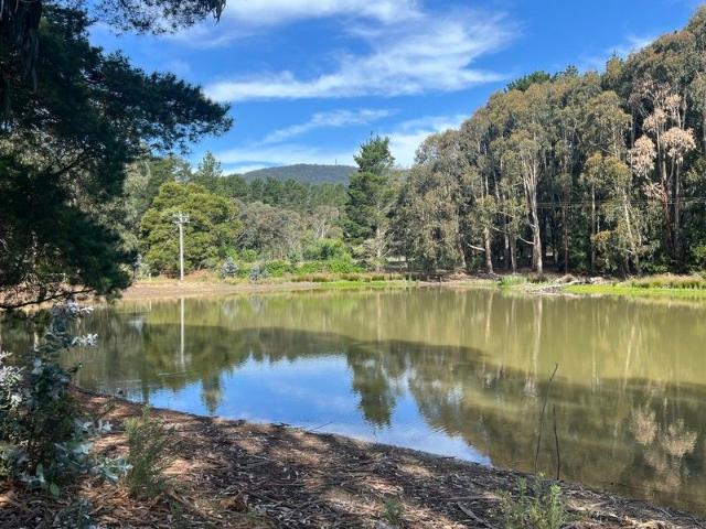 5.4 Ha 13 Acres With Planning Permit The perfect site for your tree change dream home