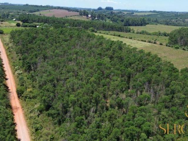 5,4 HECTARES COM ACACIA PLANTADA não fica na negociação