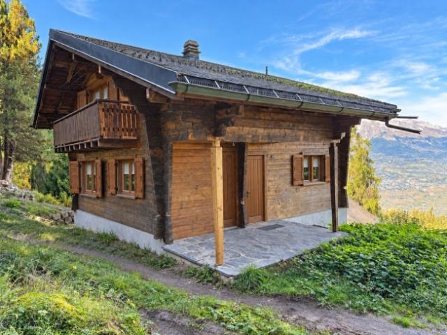 5.5 Chalet in Mayens de Sion
