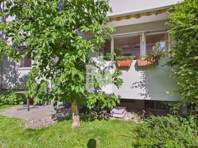 5.5 Room apartment