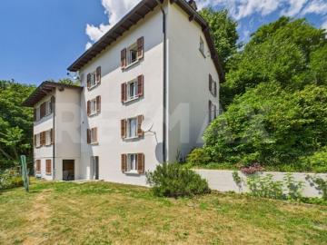 5.5 Room apartment