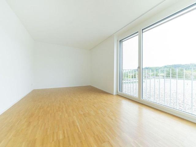 5.5 room apartment in the Bassbelt settlement