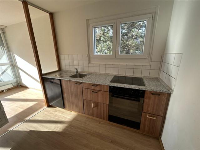 5.5 Zi Wg 1. Stock Balkon mit Abendsonne