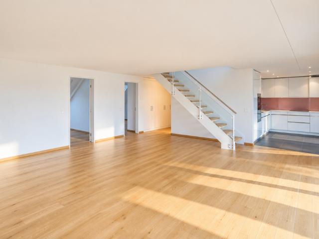 5.5 Zimmer Maisonettewohnung