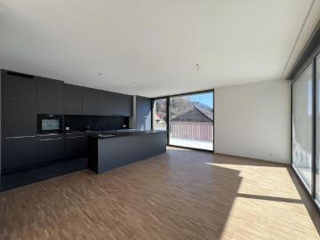 5.5 Zimmer Attikawohnungen