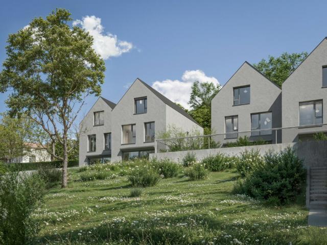 5.5 Zimmer Doppeleinfamilienhaus in Biel Benken