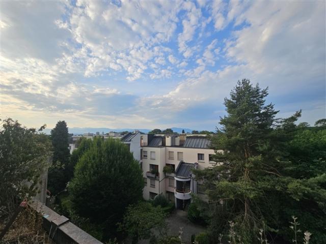 5,5 Zimmer Dreierwohnung