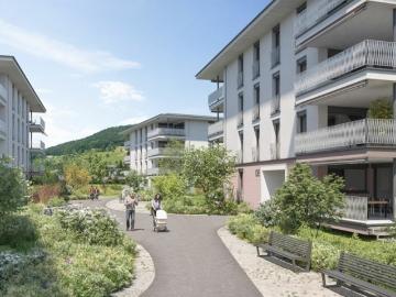 Bezirk Kulm, Aargau - Garten