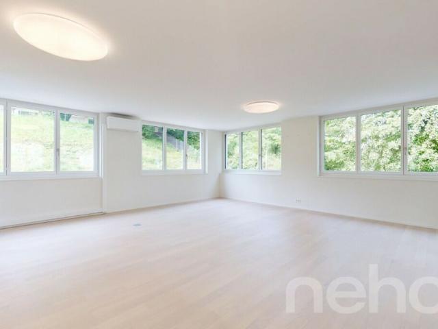 5.5 Zimmer Reiheneckhaus mit Garten und Dachterrasse
