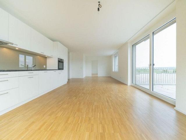 5.5 Zimmer Wohnung in der Bassbelt Siedlung