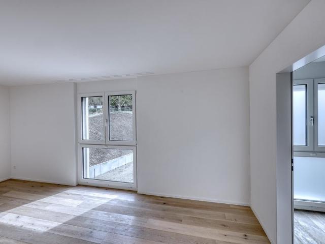 5.5 Zimmer Wohnung mit grosszügigem Balkon