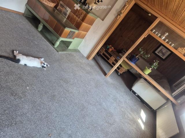 5.5 Zimmer, 120 m²