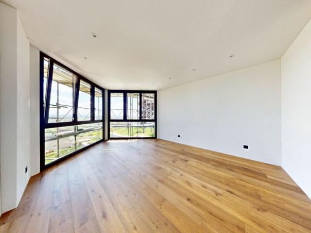 5.5 Zimmer, 220 m²