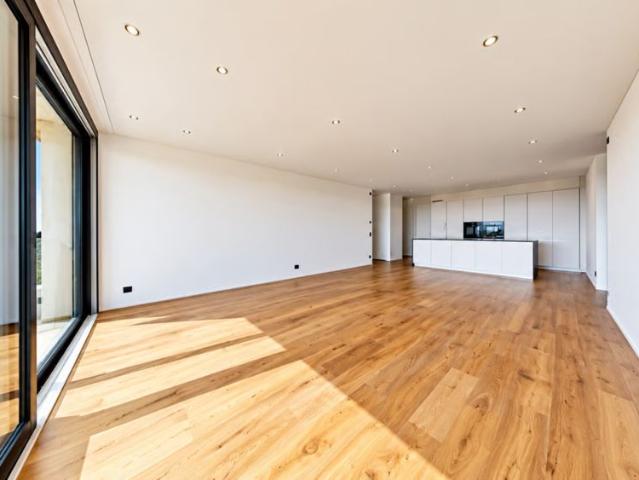 5.5 Zimmer, 220 m²