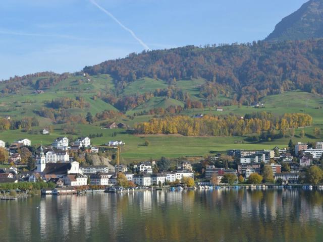 5.5 Zimmerwohnung mit tollem Ausblick auf See und Berge