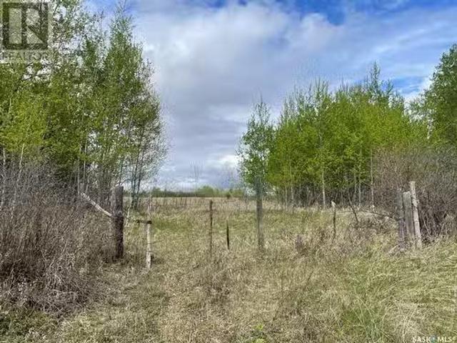 5.5Km South Of Dorintosh Lot 2, Meadow Lake Rm No.588, SK, S0M.