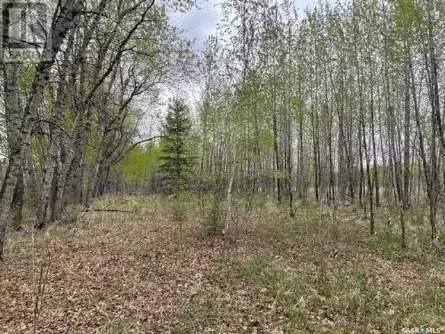 5.5Km South Of Dorintosh Lot 4, Meadow Lake Rm No.588, SK, S0M.