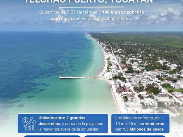 5.6 hectáreas sobre carretera Telchac 10 min Puerto Telchac