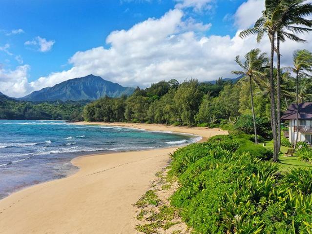 5 7130 kuhio hwy, hanalei, us, hi