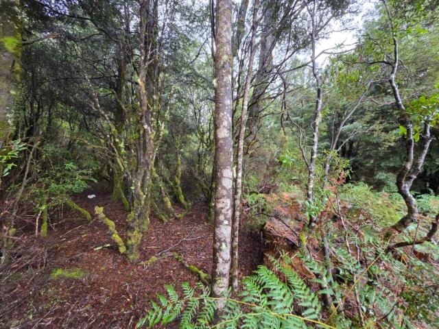 5.9 Acres of Peaceful Rural Living