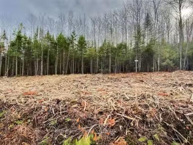 5E Rang, Adstock, QC, G0N 1S0 vacant land for sale Listing.
