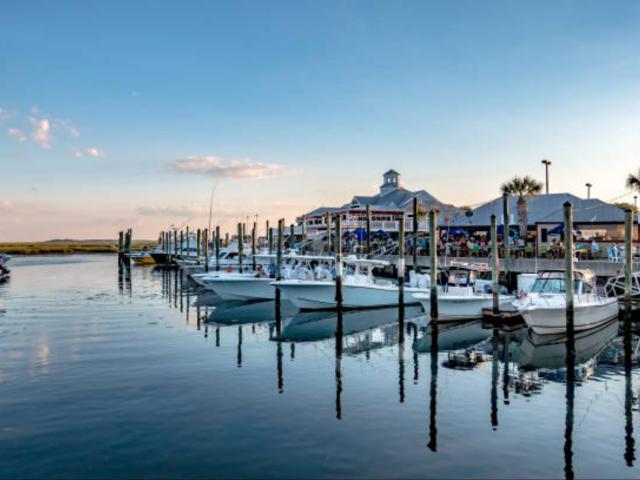 63 Blackgum Rd, Pawleys Island, SC 29585 | MLS #2607