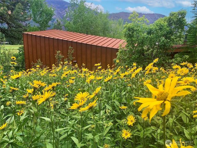 63 Chechaquo Ranch Road