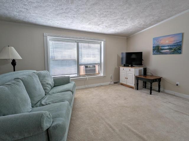 63 Sycamore Boulevard