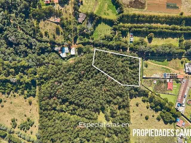 6000 mts con Bosque en Zona de Plusval?a Creciente