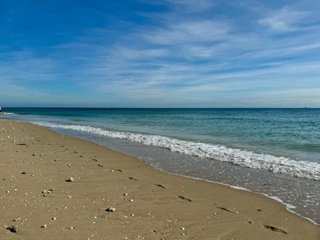 6000 N Ocean Blvd Unit 1D, Lauderdale By The Sea, US, FL