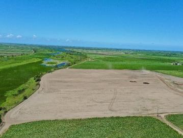 6000 Tonne Cane Farm with House Shed Irrigation