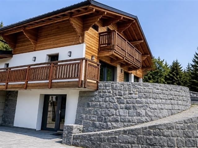 6002M Gryon Renoviertes Chalet 5.5 Zimmer