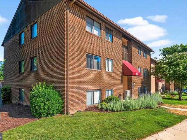 6017 Majors Lane # 1 B1