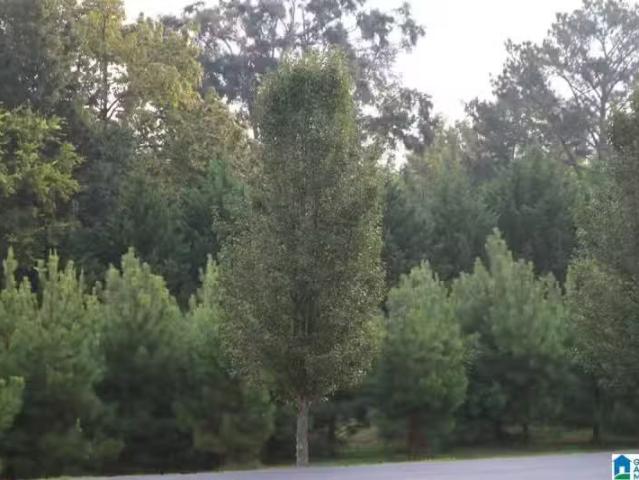 6027 PARKVIEW LN # 37, SYLVAN SPRINGS, AL 35118