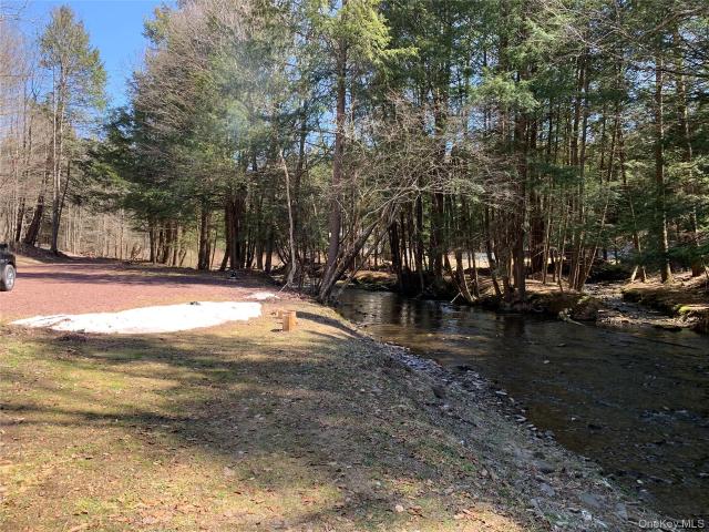 604 Basket Rd, Long Eddy, NY 12760 | MLS #1029
