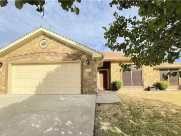 Bell County, Texas, Texas, USA - Fireplace