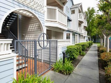 605 Arcadia Terrace 104