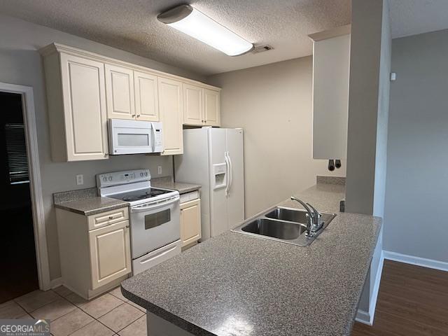 605 Glade Fern Way