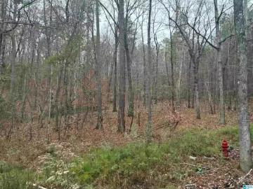 605 PINE MOUNTAIN TRL # LOT 3, CHELSEA, AL 35043