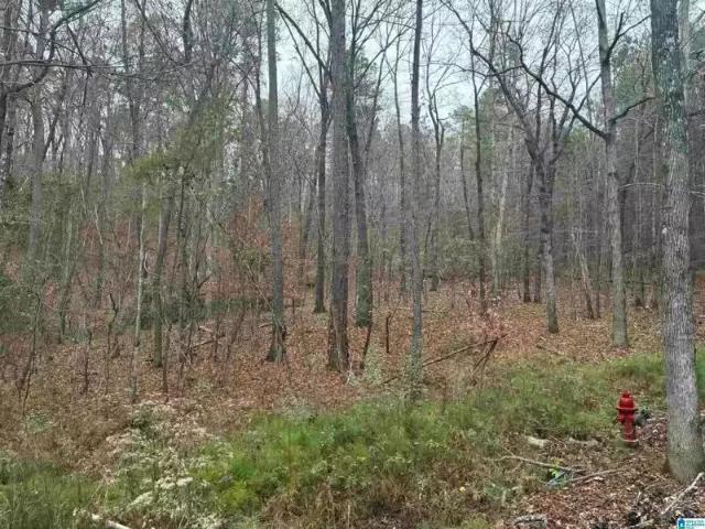 605 PINE MOUNTAIN TRL # LOT 3, CHELSEA, AL 35043