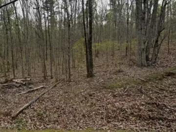 6099 LAKESIDE DR # 6099, PINSON, AL 35126