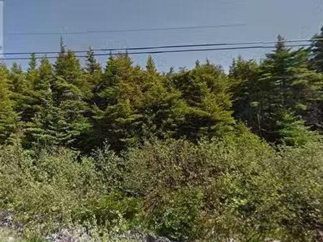 60 64 Doran'S Lane, Outer Cove, NL, A1K 4A7 vacant land for.