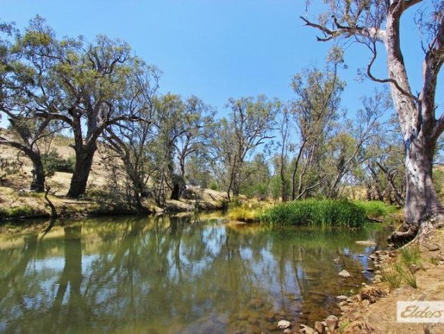 60 ACRES ON THE CAMPASPE RIVER