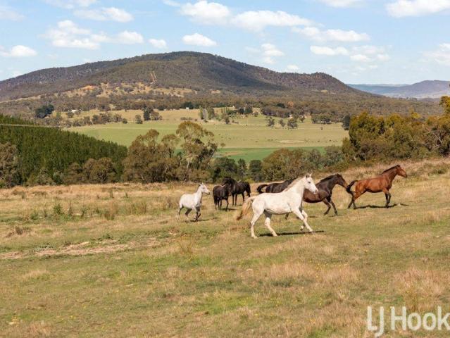 60 Acres of Peace & Possibility