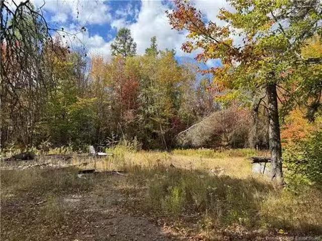 60 Bettsburg Rd, New Bandon, NB, E9C 2C2 vacant land for sal.