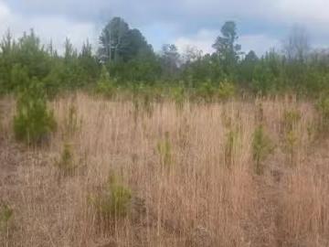 Chilton County, Alabama, USA