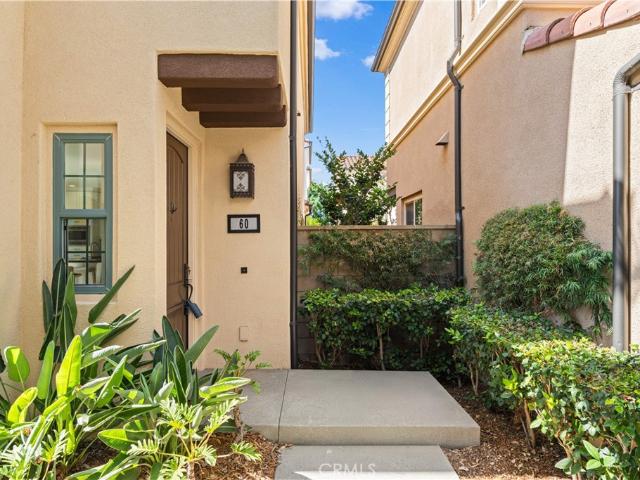 60 Strawberry Grove