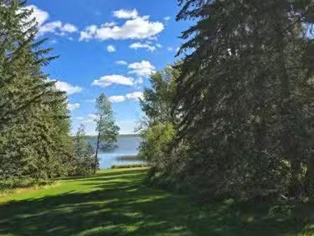 61076 Twp Road 462 A, Rural Wetaskiwin County, AB, T0C 0T0 v.